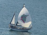 Fantasia -Sailfest Zihuatanejo Mexico
