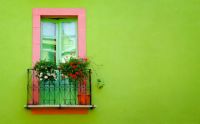 green-wall-window