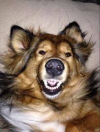 I’m just being silly!