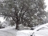 Snow on Oak Hill