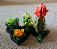Signal Geocaching Trackable by Succulents
