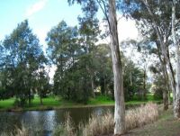 Pond in the Park