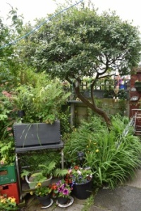 Windy corner.
