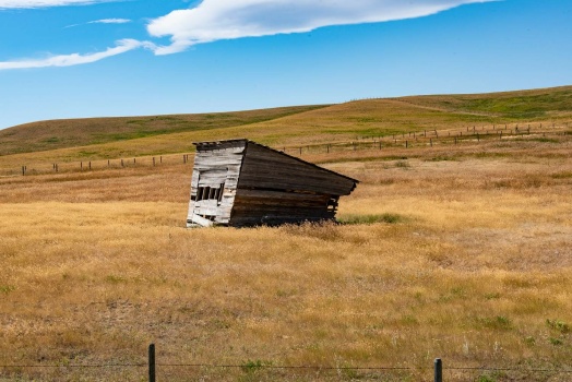 Solve nobody home jigsaw puzzle online with 77 pieces