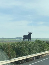 El Toro!!!!