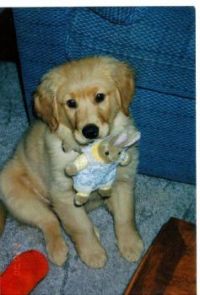 Baby Brianna