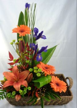 Happiness is : An Exotic Tropical  Arrangement.