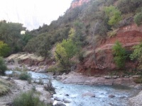 Zion Nat. Park Oct. 2011