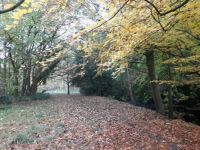 Riverbank