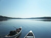 Quetico