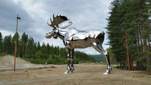A silver giant in Østerdalen, Norway