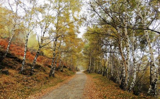 Autumn