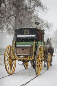 A Colonial Williamsburg Winter - The Carter Coach