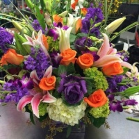 Happiness is....Bright Color Burst  Display