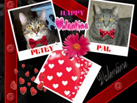 Happy Valentine's Day from Petey and Pal!