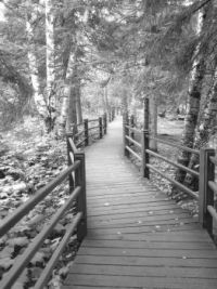 Gooseberry Falls walkway