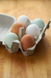half dozen fresh eggs