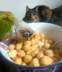 "When you're done, I want some."
