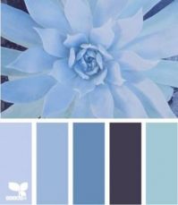 blue floral color palette