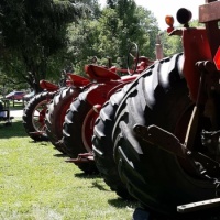 Tractor Show