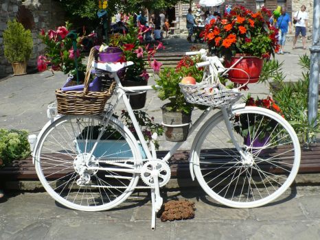 white bicycle with flowers