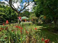 My Mothers Garden