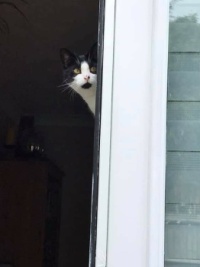 61968771_10156879401300100_4592772369730240512_n