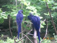 Nashville Zoo
