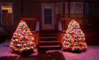 Christmas Lights