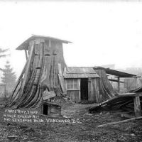 3-room stump house