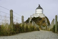 Nugget Point Lighthouse