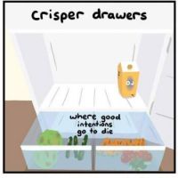 Crisper Drawers