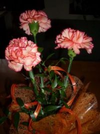 Birthday bouquet ...