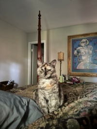 Time for you to get up!