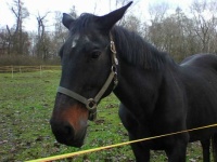 Photo0363