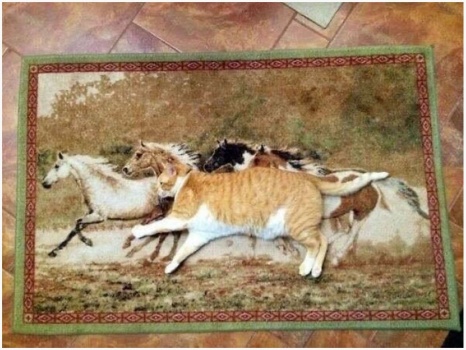 Solve Right place, right time. jigsaw puzzle online with 30 pieces