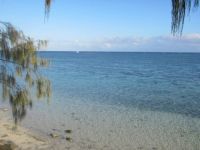 Heron Island