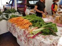 Farmers Market
