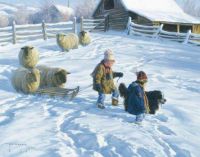 sledging in a village