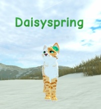 Daisyspring on the moor