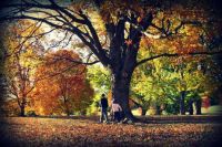 Autumn-in-Kansas-kids-playing-in-the-fall-foliage