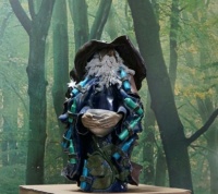 Wizard in the Woods