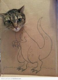 CUTE KITTISAURUS REX...HE IS NOT AMUSED... 