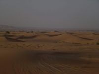 Dusk in the Desert