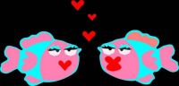 Lovey Fish