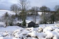 Snowbound Cottage