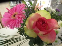 Rose & Gerbera in my flower bouquet (close-up)