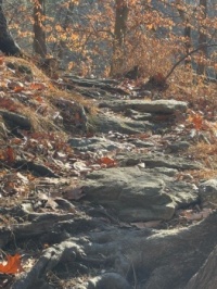 My favorite trail - Lorimer Park, Huntington Valley, PA