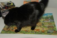 Cat on Puzzle
