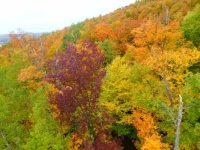 Autumn Colour, Quebec, Canada
